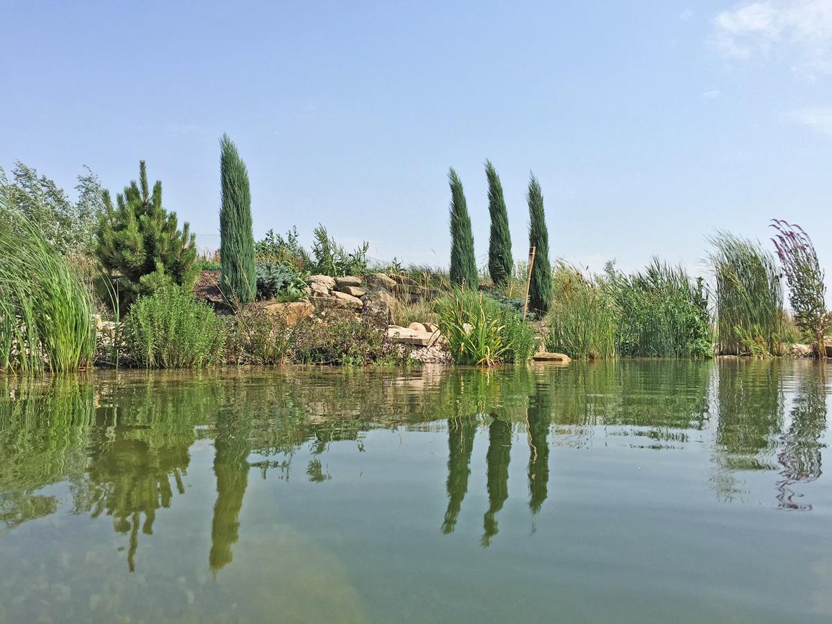 Lake View Apartments Near Golf Resort Kuneticka Hora, Dritec ปาร์ดูบิตเซ ภายนอก รูปภาพ